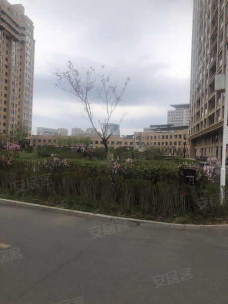 领秀城,渤州街10号-牡丹江领秀城二手房,租房,房价-牡丹江安居客