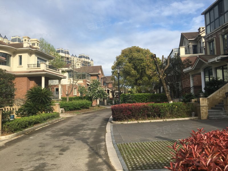 合生国际城(别墅)