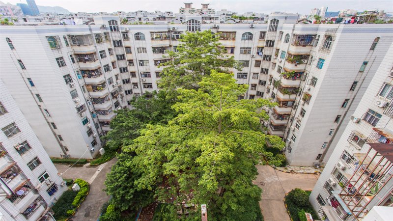 德兴花园(南区)