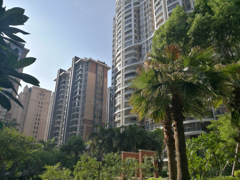 中信金城,宁川西路,近同益路-汕头中信金城二手房,租房,房价-汕头安居