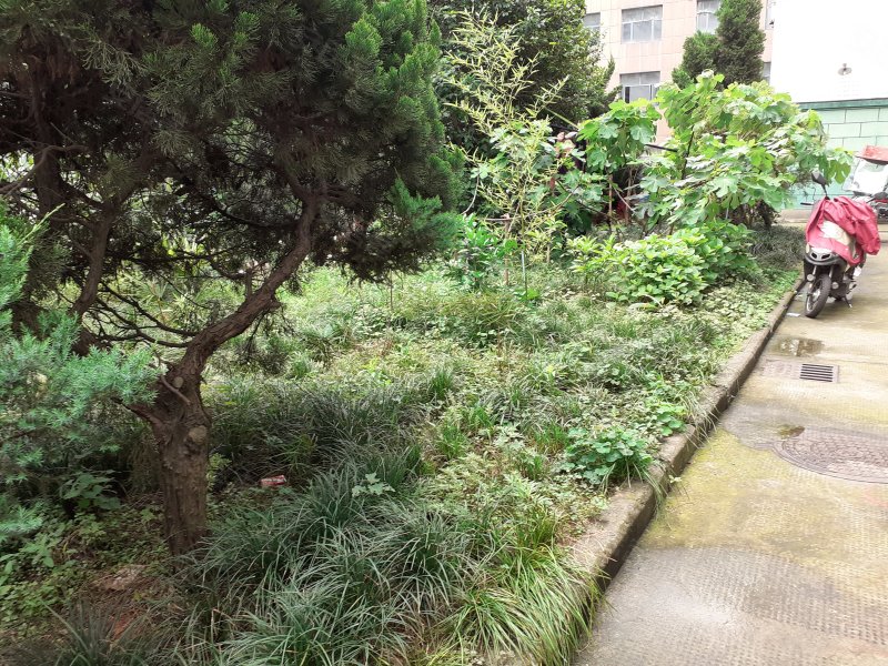 瓜渚湖商住楼