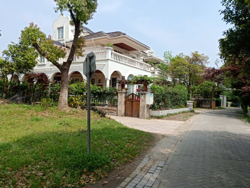 绿地21城b区(别墅)