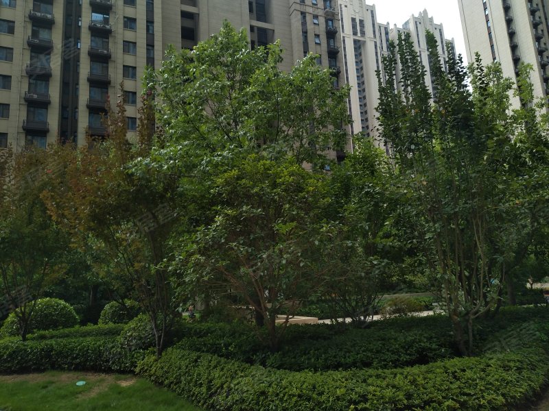 华瑞紫韵城雅园,建设西路-郑州华瑞紫韵城雅园二手房,租房,房价-郑州