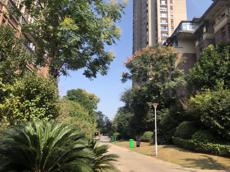 中大青山湖东园,青山湖大道1333号-南昌中大青山湖东园二手房,租房