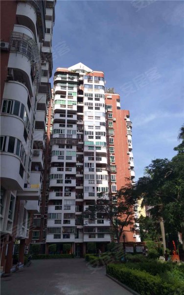 信达大厦,兴隆路7,11,13号-厦门信达大厦二手房,租房,房价-厦门安居客