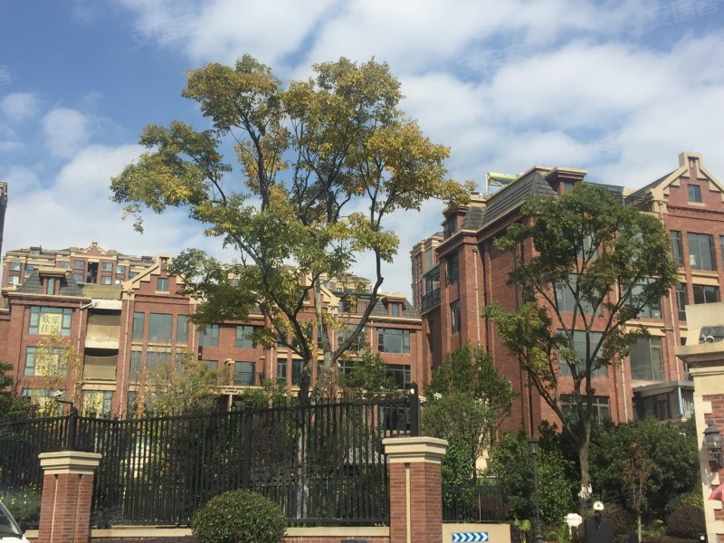 官房都铎城邦3号院