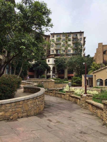 麓山国际帕萨迪纳1组