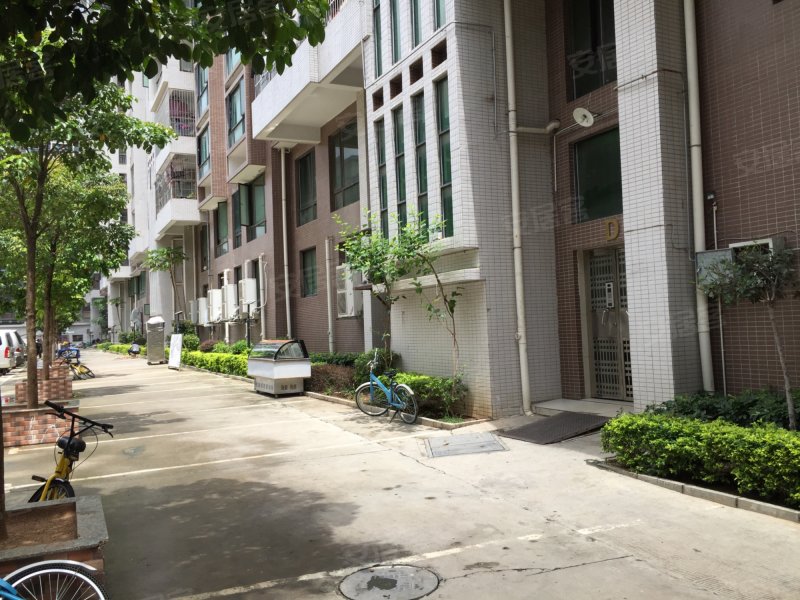 富民广场,观光路-深圳富民广场二手房,租房,房价-深圳安居客