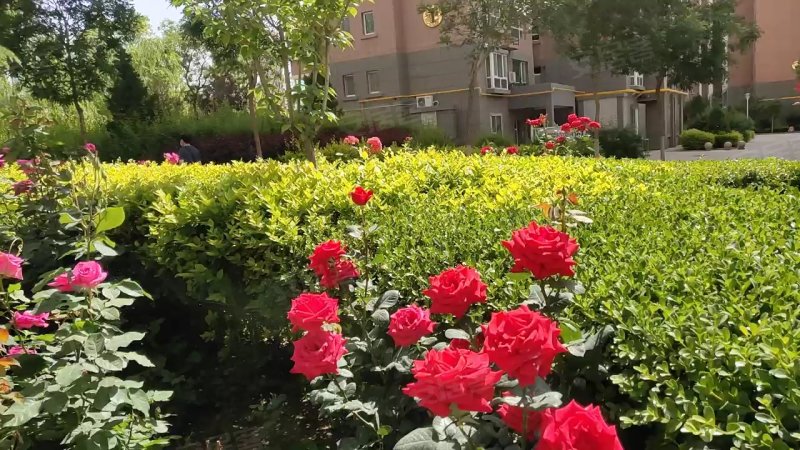 昶荣水岸华庭,盐场路108号-兰州昶荣水岸华庭二手房,租房,房价-兰州