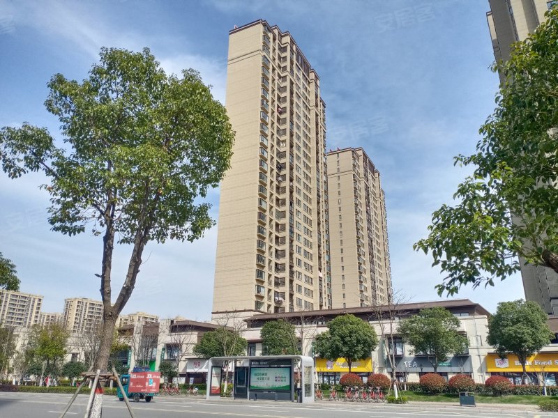 孔雀城荷院,环西南路-嘉善孔雀城荷院二手房,租房,房价-嘉善安居客
