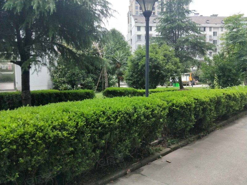 滨河公寓(西区),育贤路52号-绍兴滨河公寓(西区)二手房,租房,房价