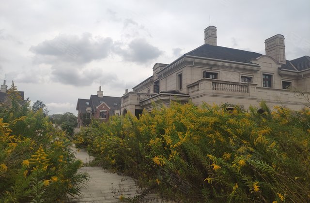 红庐雅颂别墅,元江路5225弄-上海红庐雅颂别墅二手房,租房,房价-上海