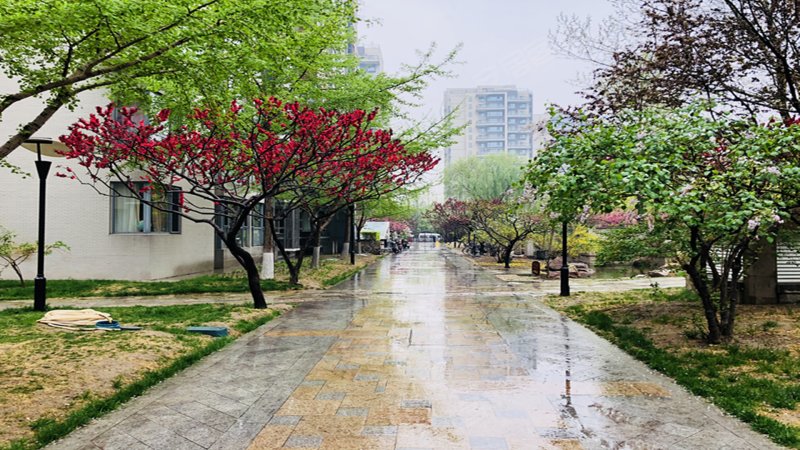 富力城(b区),天力街1号-达州富力城(b区)二手房,租房,房价-达州安居客