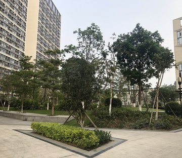 新港东路2478号小区