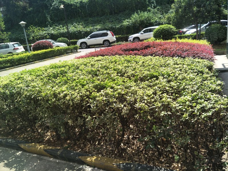 凯乐花园,武珞路五巷46号-武汉凯乐花园二手房,租房,房价-武汉安居客