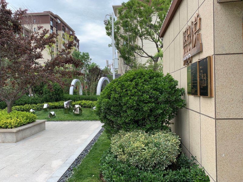 碧桂园cld凤凰首府(洋房),幸福柳路-济南碧桂园cld凤凰首府(洋房)二手