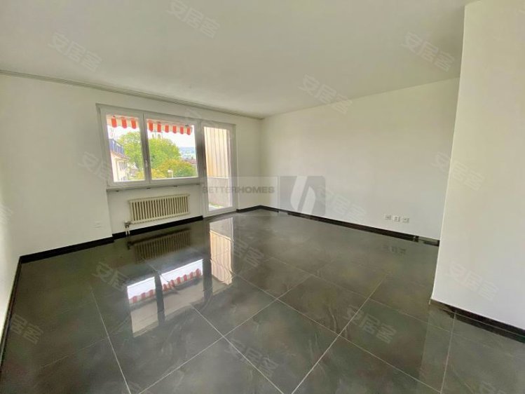 瑞士约¥350万海梅利格 · 乌德 · 赫尔， 弗里施 · 萨尼尔特二手房公寓图片
