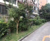 金桥丽景凯鑫苑 