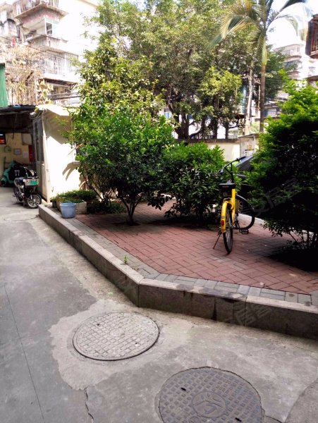 华大新村(崎上路),崎上路23,33号-福州华大新村(崎上路)二手房,租房