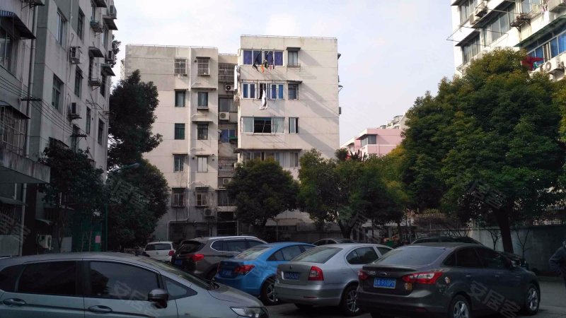 金桥新村五街坊 