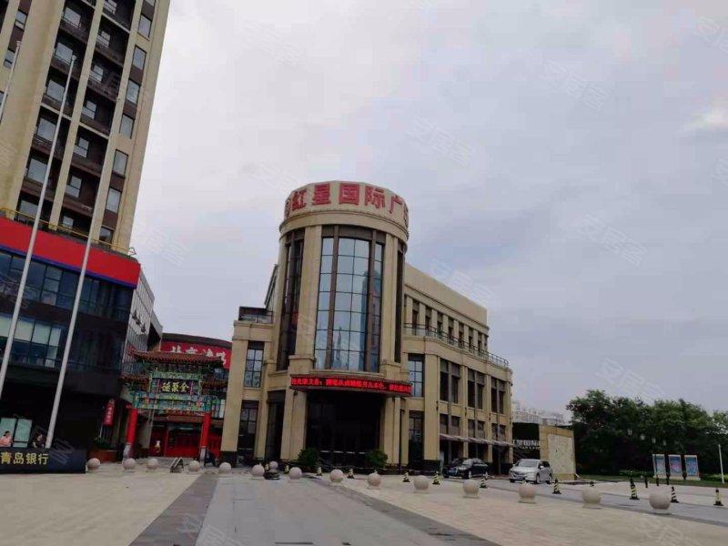 红星国际广场,济南路,近孝河路-临沂红星国际广场二手房,租房,房价