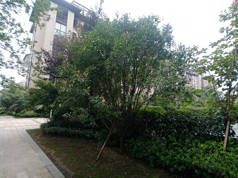 祥生悦山湖,德清路,近同心路-湖州祥生悦山湖二手房,租房,房价-湖州