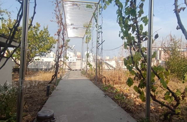 祥苑(东区)4室2厅217.5㎡150万二手房图片