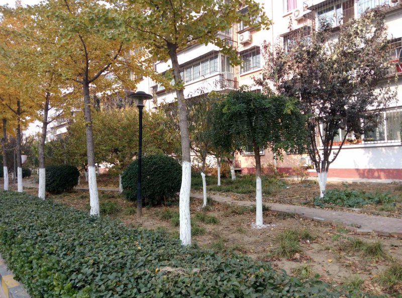 万树园,厢黄旗路-北京万树园二手房,租房,房价-北京安居客