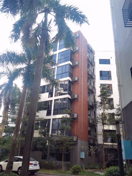 槟榔园,工业九路28号-湛江槟榔园二手房,租房,房价-湛江安居客