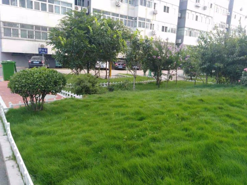 康馨花园,振兴街,近健康路-高密康馨花园二手房,租房,房价-高密安居客