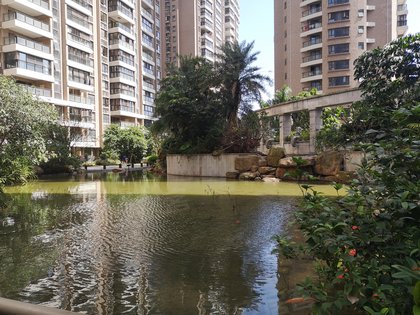 【万豪南湾房价走势,万豪南湾房屋出租,万豪南湾二手房出售】- 汕头58