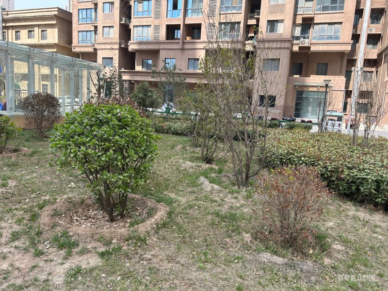 龙泊湾93平送12平!中间楼层房东诚心出售