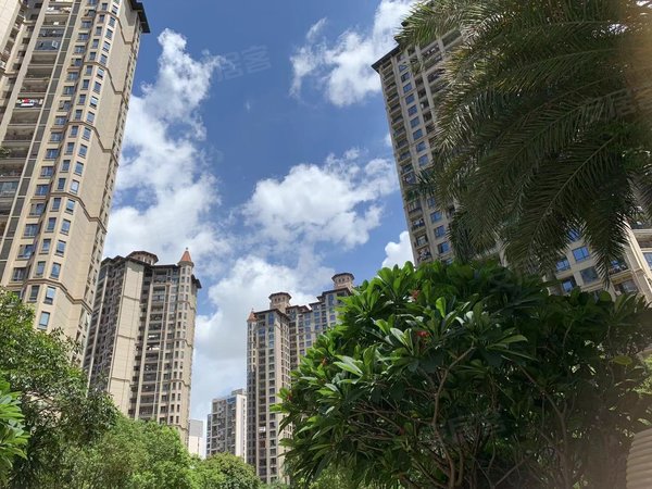 中骏蓝湾半岛 4室2厅2卫 南北通透 豪华装修 配套齐全,晋江租房-泉州