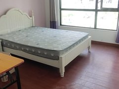 湖州吴兴西南新城佳源都市单间合卫，朝南主卧室，出租房源真实图片