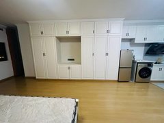 泗洪青阳街道顺河路南山龙郡 电梯公寓 精装修 可月付出租房源真实图片