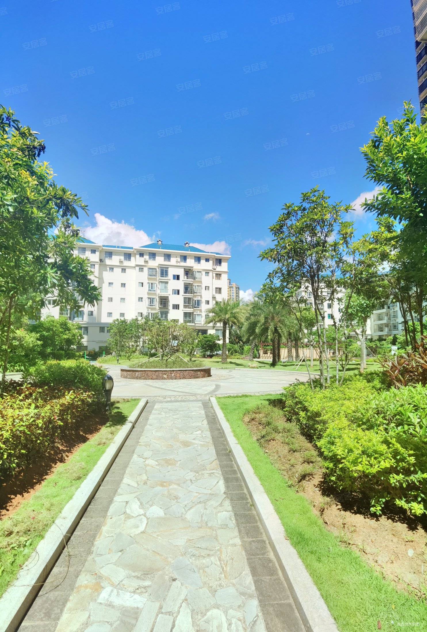 仙桥花园2室2厅1卫89.14㎡南北160万