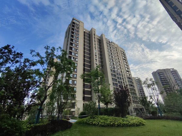 新村旁,品质高端,全新出租,精装全配,22年交付商品房出租房源真实图片