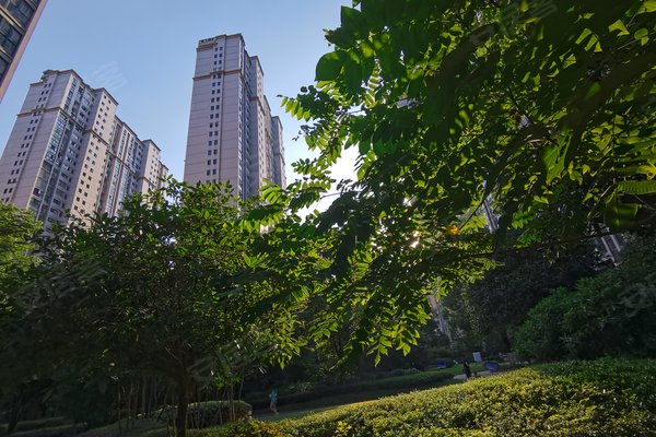 阳光栖谷翡翠园,苏州路-十堰阳光栖谷翡翠园二手房,租房-十堰安居客