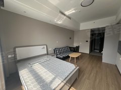 张家港杨舍杨舍中心人民路 公寓  金田广场 1室1卫  电梯房 精装修出租房源真实图片