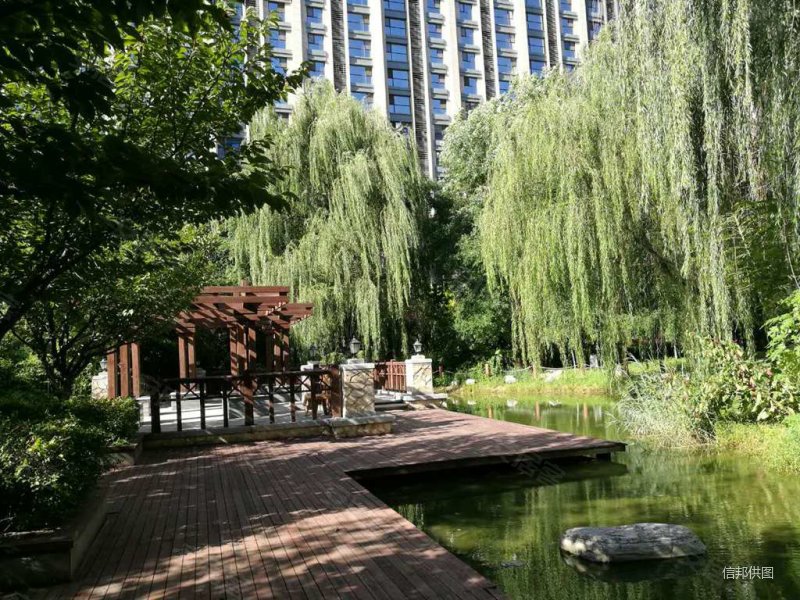 丽都水岸b区  洋房大平层 南向面宽15米 套房设计