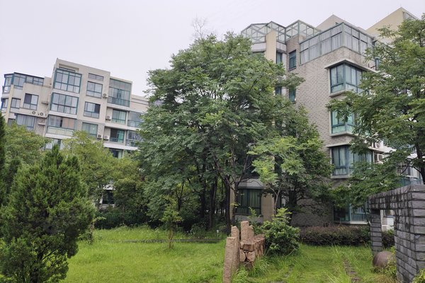 嘉兴小区 桐乡小区 桐乡周边小区 桂花城