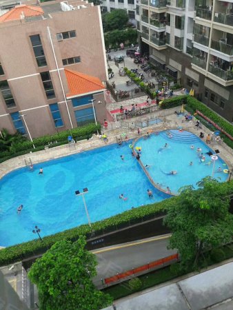 业主急售 裕盛华庭 走过路过不要错过 大型花园小区自带游泳池