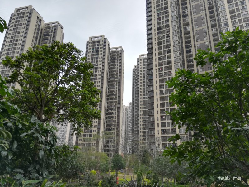 4平方米,绿地香树花城二手房,142万,3室2厅,2卫,90.4平米-佛山安居客