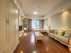 金华金东多湖轻轨站旁万达广场公寓温馨舒适 精装修干净清爽拎包入住出租房源真实图片