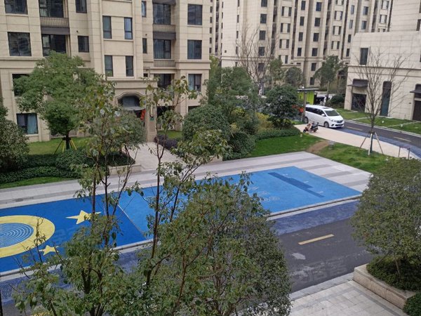 上海金山枫泾华发招商依云四季华发招商依云四季 2室2厅1卫 精装修