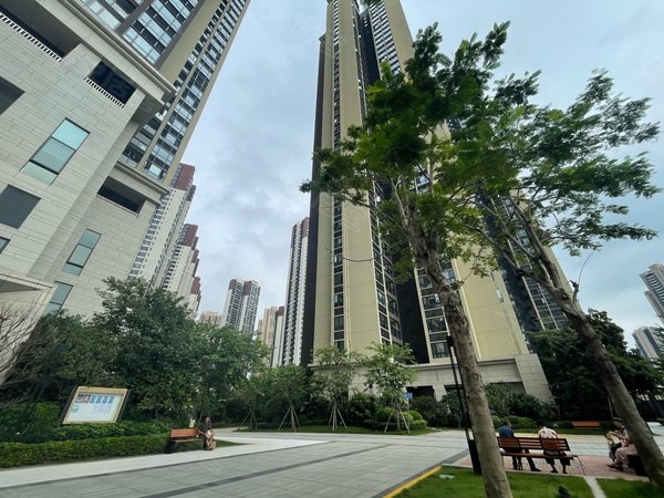 深圳坪山坪山佳华领悦广场小区门口16号线新合站,龙坪天虹,高铁站,近