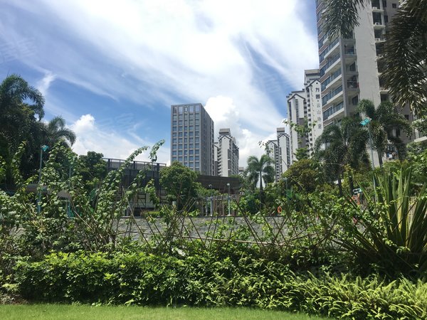 广州南沙金洲越秀滨海隽城越秀滨海隽城  业主刚搬走 房子干净整洁 可