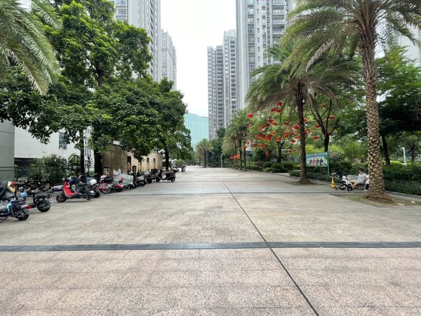 【多图】地标广场,虎门公园租房,实地拍摄~地标广场~精装修两居室