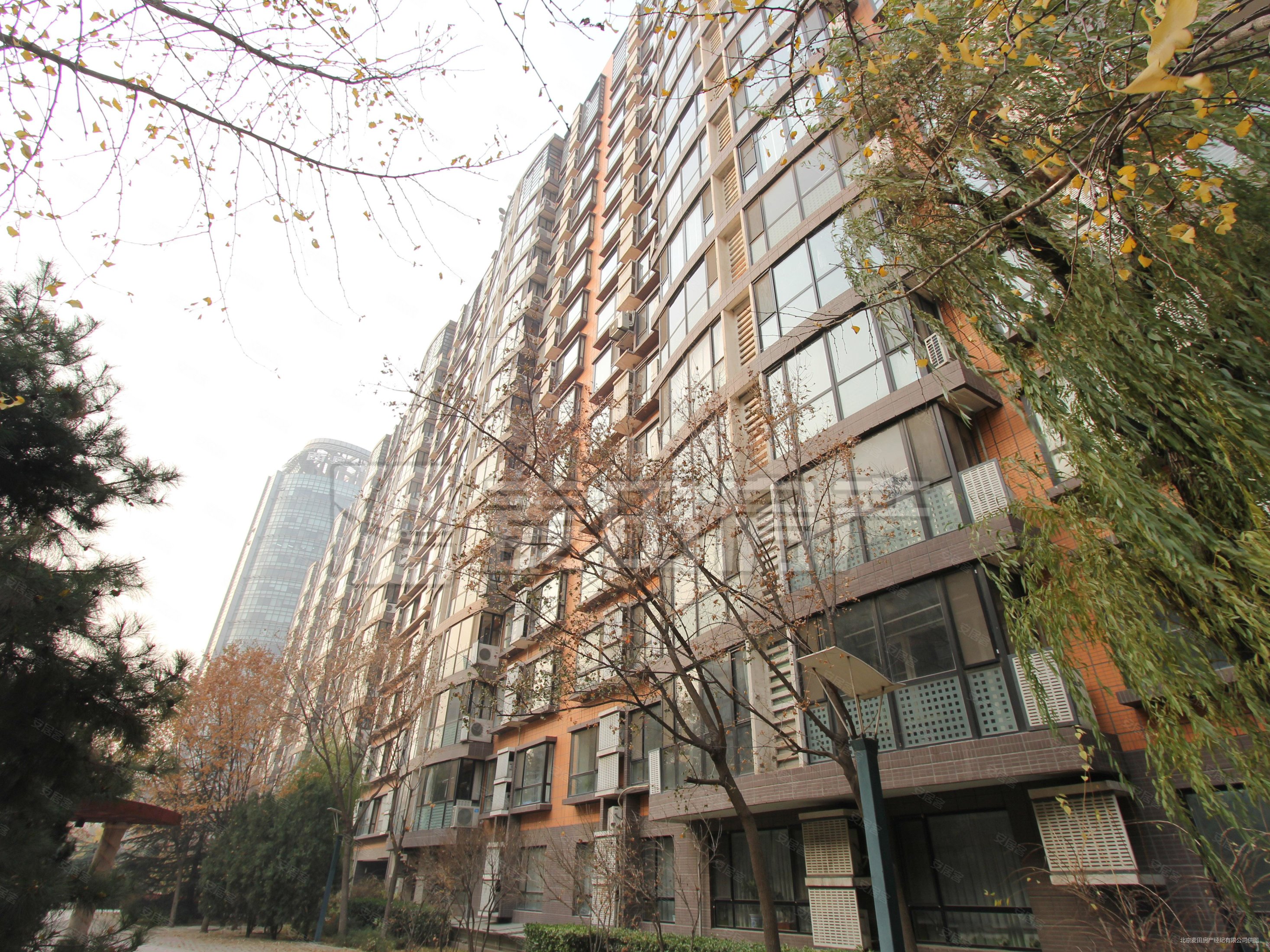 风林绿洲 精装修,风林绿洲二手房,1550万,3室2厅,2卫,171平米-北京