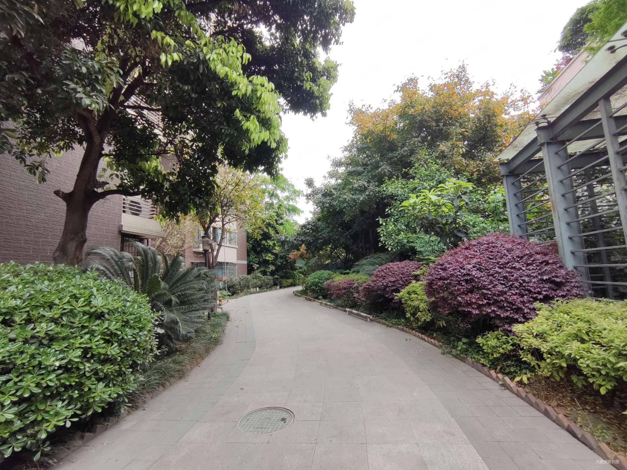 九峰花园金牛公园旁精装小套二房东诚心卖